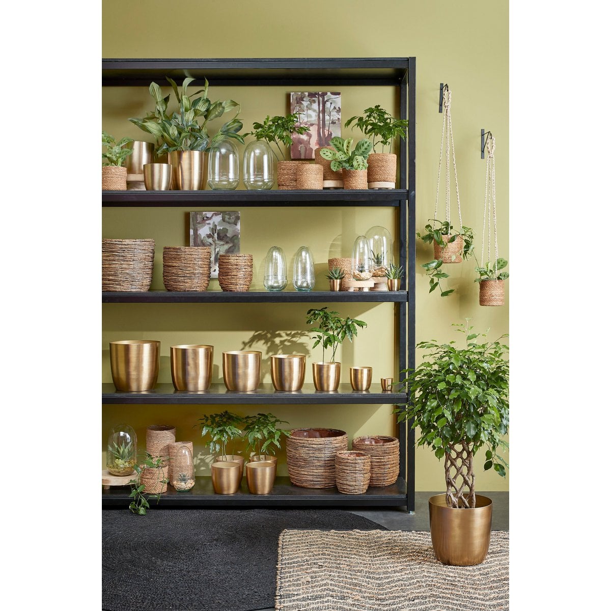 Blumentopf in Alano Gold