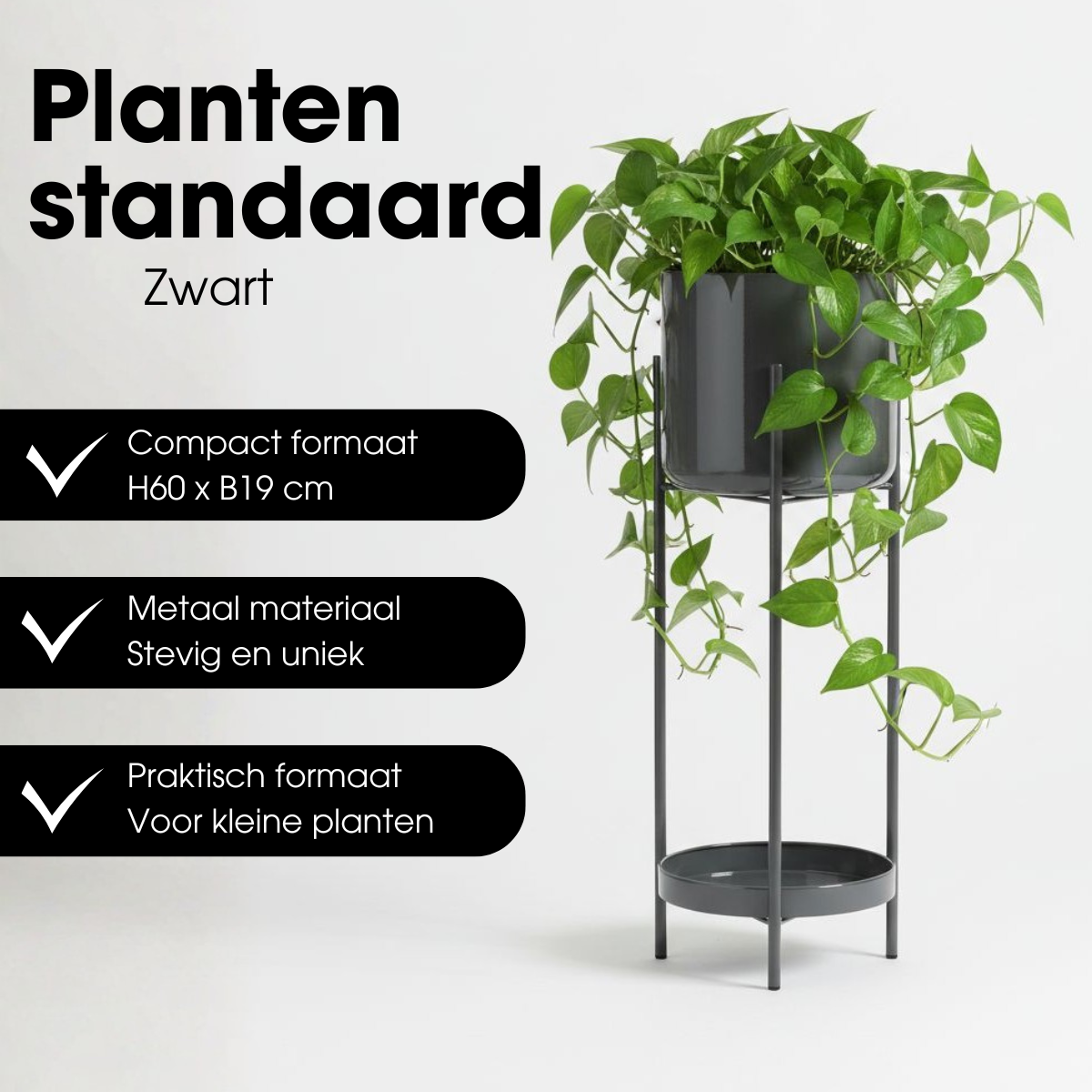Blumentopf im Inneren von Colyn Black