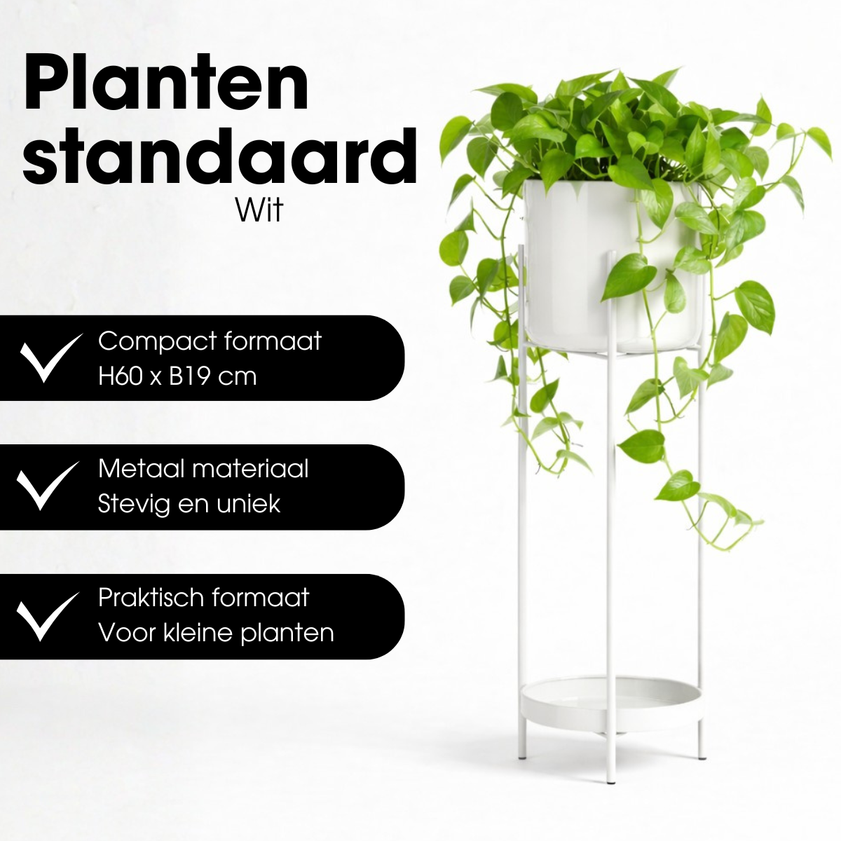 Blumentopf in Colyn White