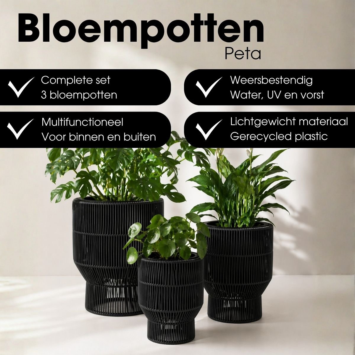 Blumentopf außerhalb Peta Black