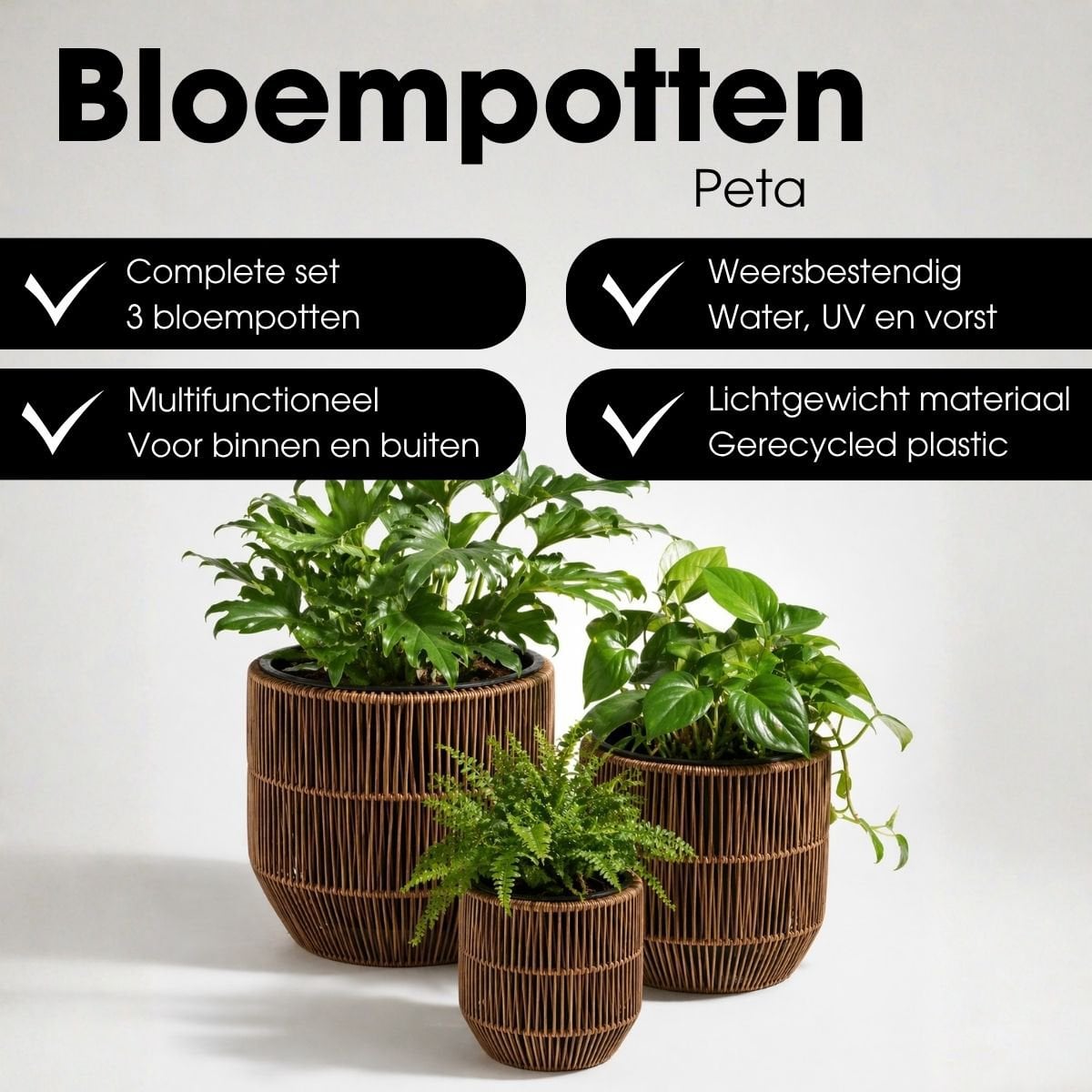 Blumentopf außerhalb Peta Dunkelbraun
