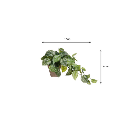 Künstliche Hängepflanze Scindapsus Green