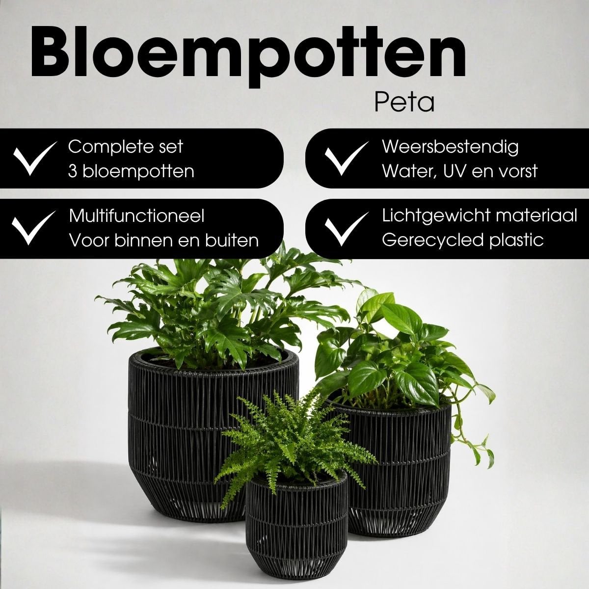 Blumentopf außerhalb Peta Black