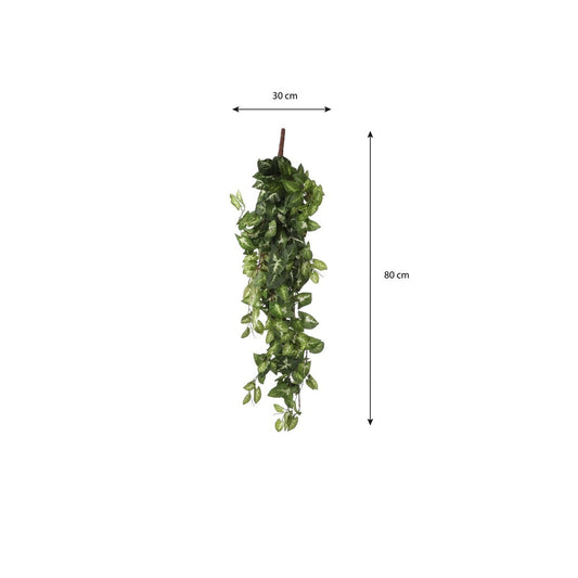 Künstliche Hängepflanze Fittonia Green