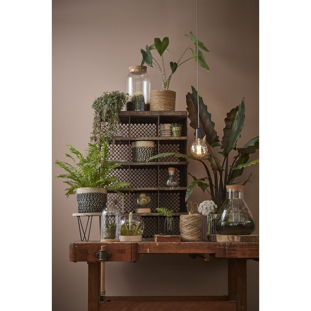 Emily Terrarium oder Vorratsdose – H24,5 x Ø22,5 cm – recyceltes Glas – transparent