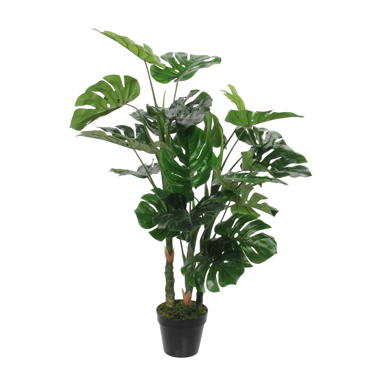 Künstliche Pflanze Monstera – H100 x Ø75 cm – Grün