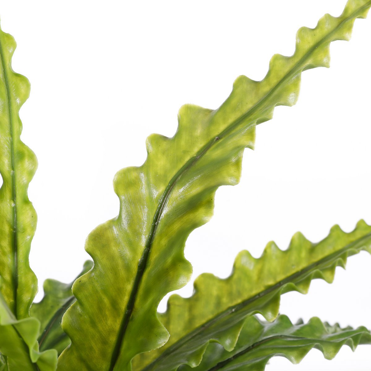 Künstliche Asplenium-Pflanze im Blumentopf Stan – H54 x Ø66 cm – Grün