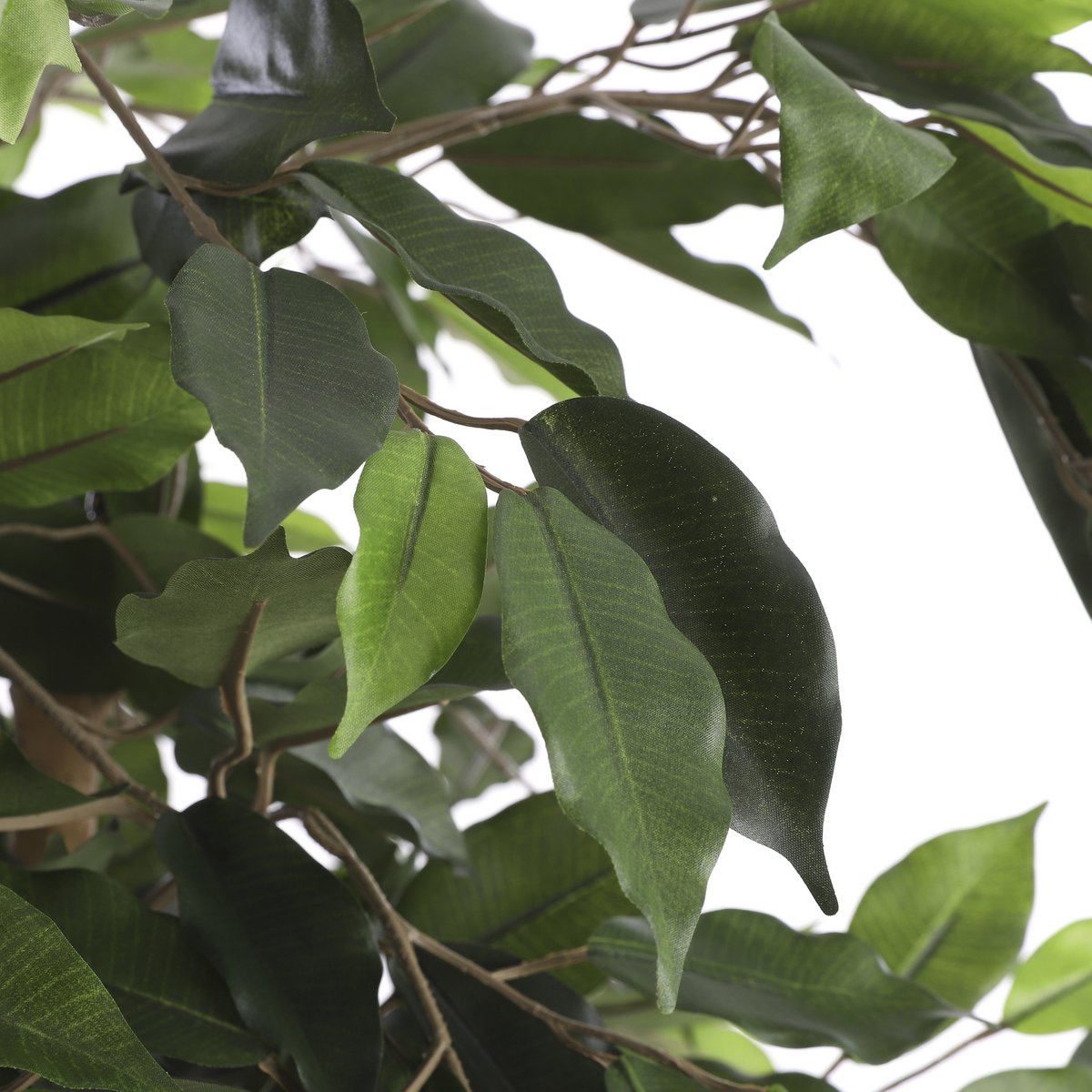 Künstliche Ficus-Pflanze – H150 x Ø85 cm – Grün