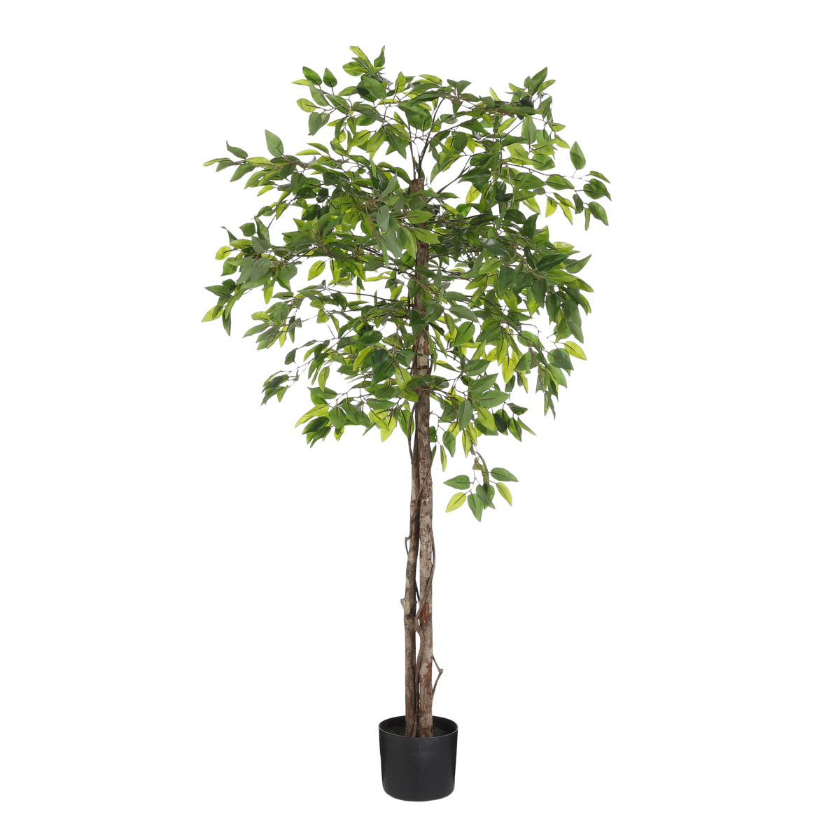 Künstliche Ficus-Pflanze im Blumentopf – H150 x Ø50 cm – Grün