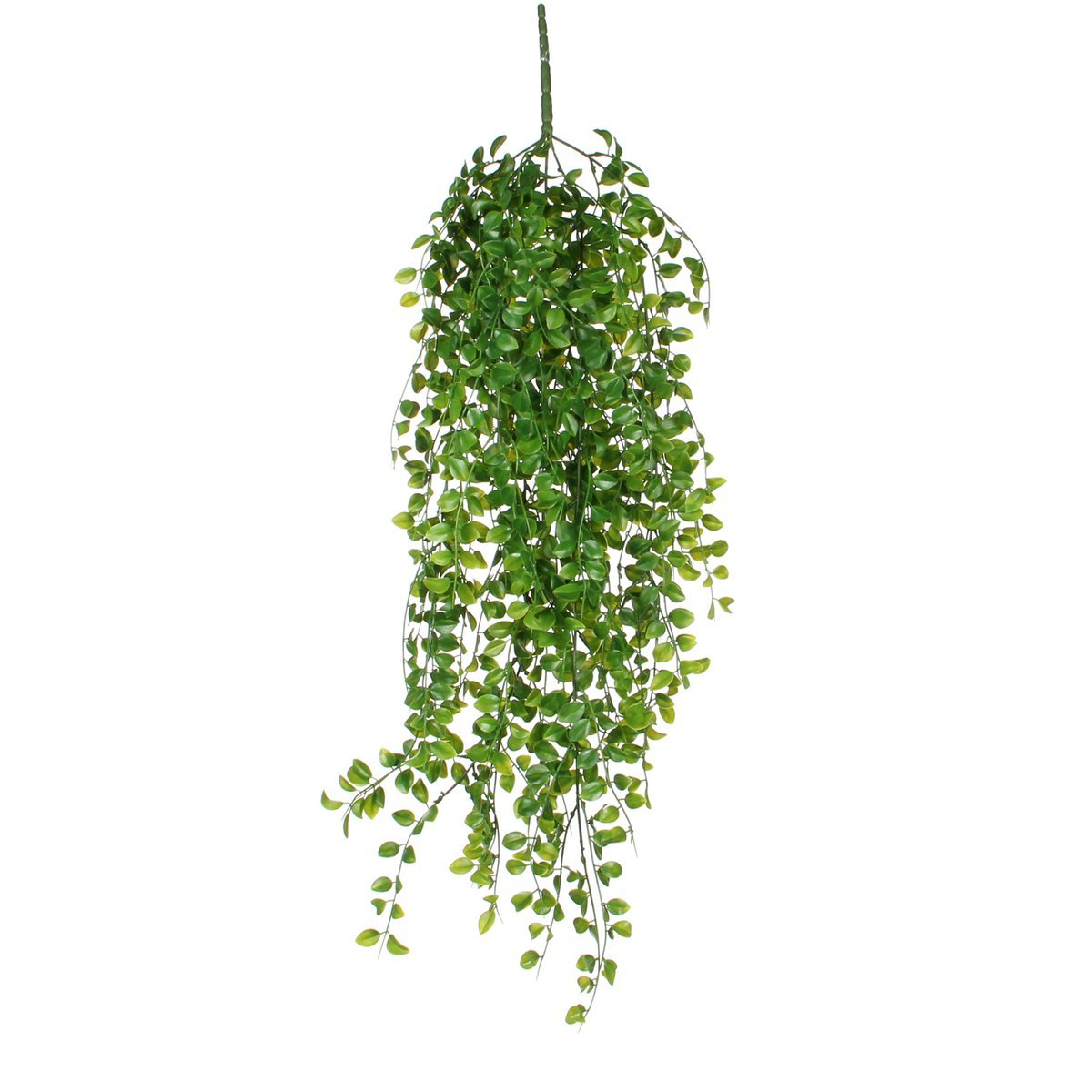 Künstliche Hängepflanze Ficus – H81 cm – Grün