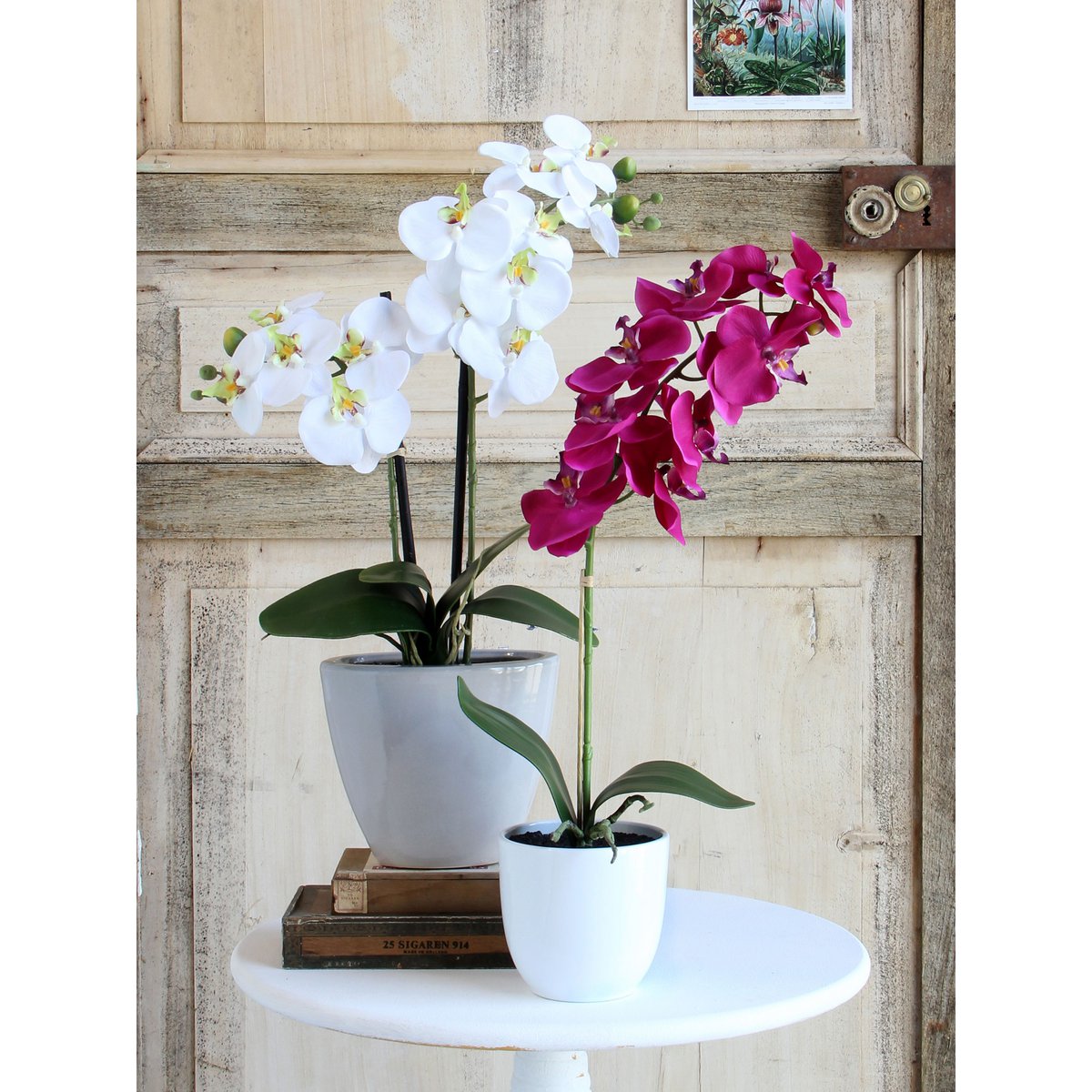 Künstliche Phalaenopsis-Pflanze im Blumentopf Tusca – H60 x Ø16 cm – Lila