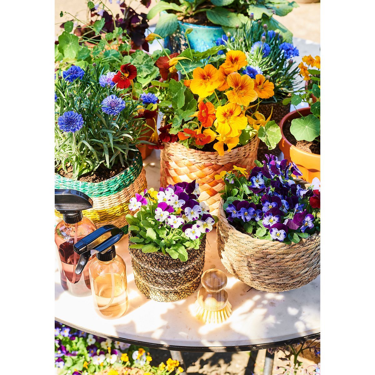 Jorck Korb für Pflanzen – H19 x Ø22 cm – Seegras – Hellbraun