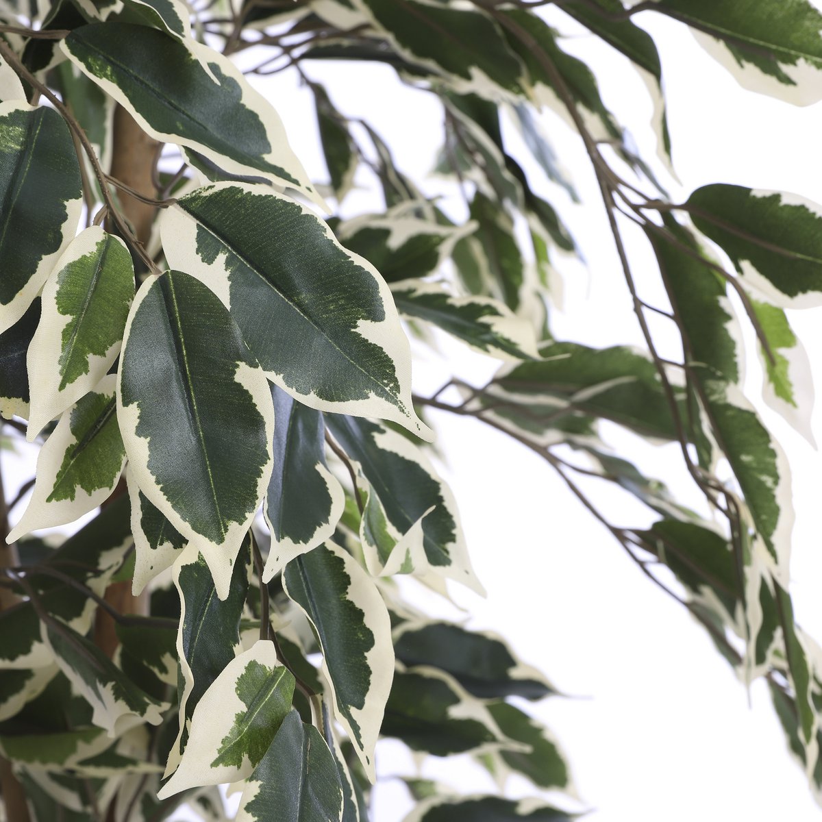 Künstliche Ficus-Pflanze – H110 x Ø70 cm – grün bunt