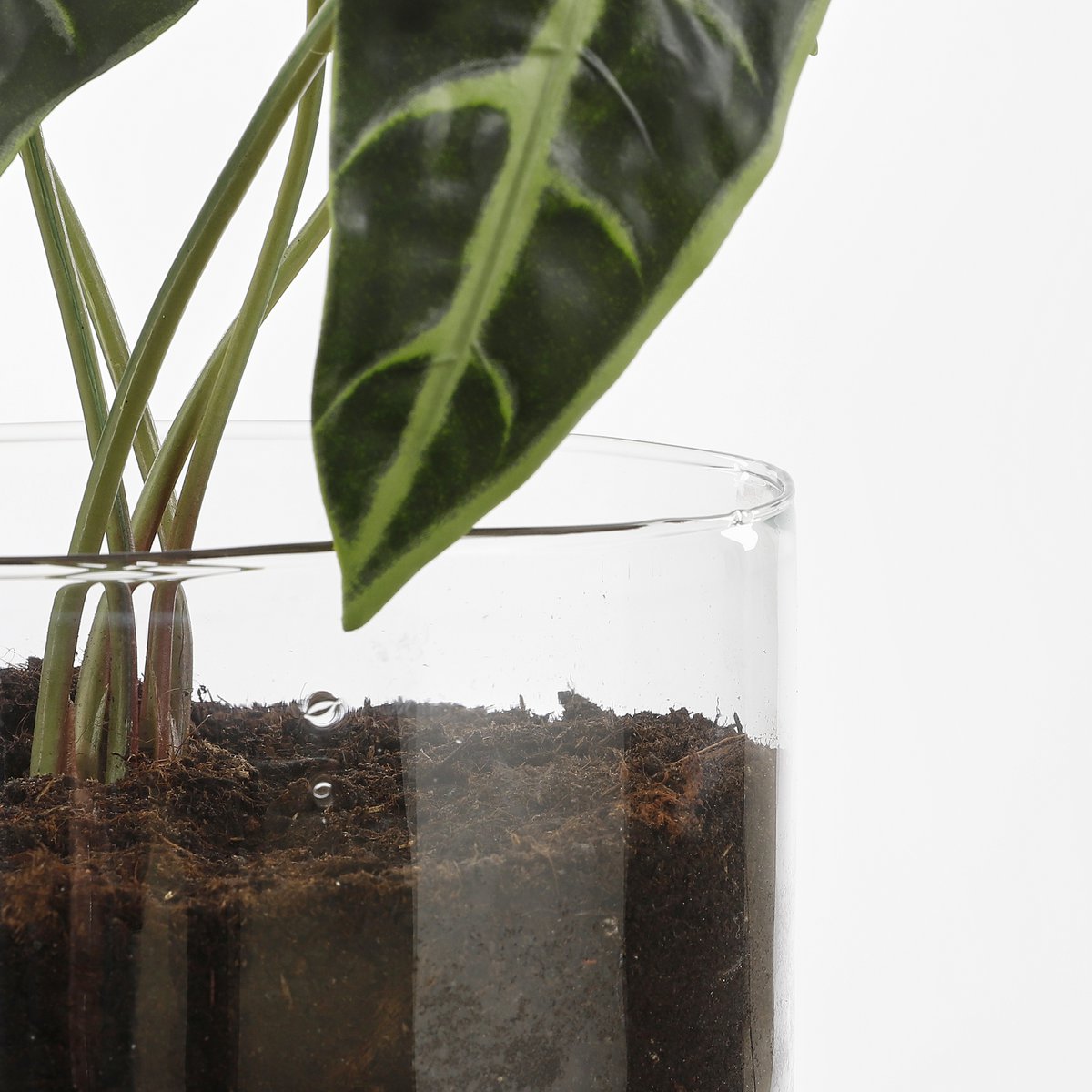 Elements Blumentopf mit Bewässerungssystem – H22 x Ø19 cm – Glas