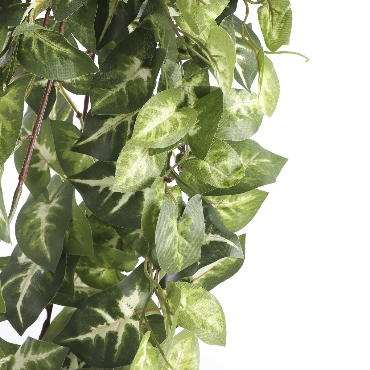 Fittonia Künstliche Hängepflanze – L15 x B30 x H80 cm – Grün