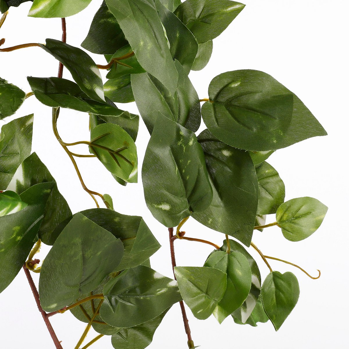 Künstliche Hängepflanze Scindapsus – L15 x B30 x H80 cm – Grün