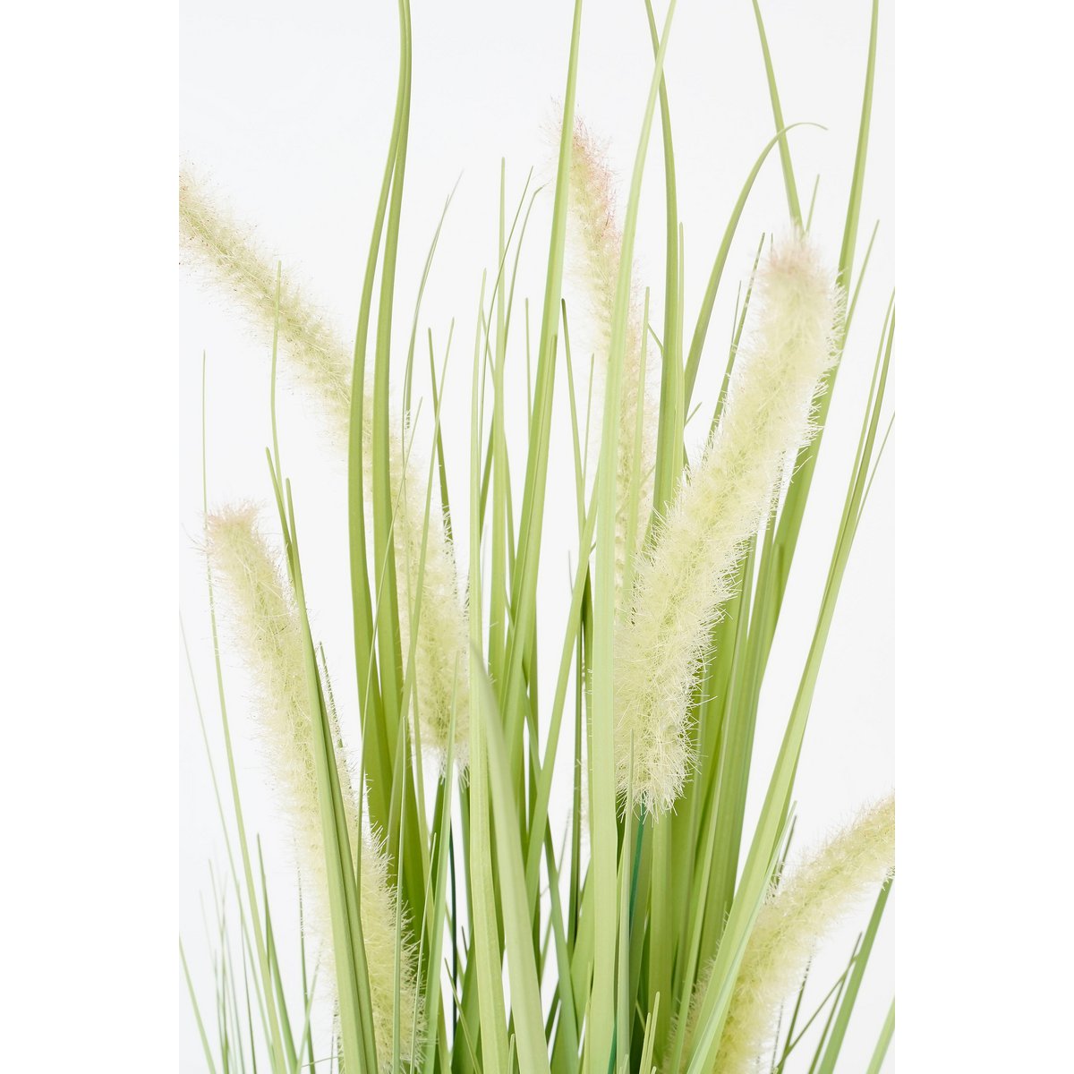 Künstliche Dogtail-Graspflanze – H53 x Ø30 cm – Grün