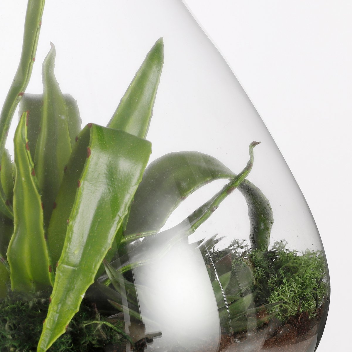 Emily Terrarium oder Vorratsdose – H24,5 x Ø22,5 cm – recyceltes Glas – transparent
