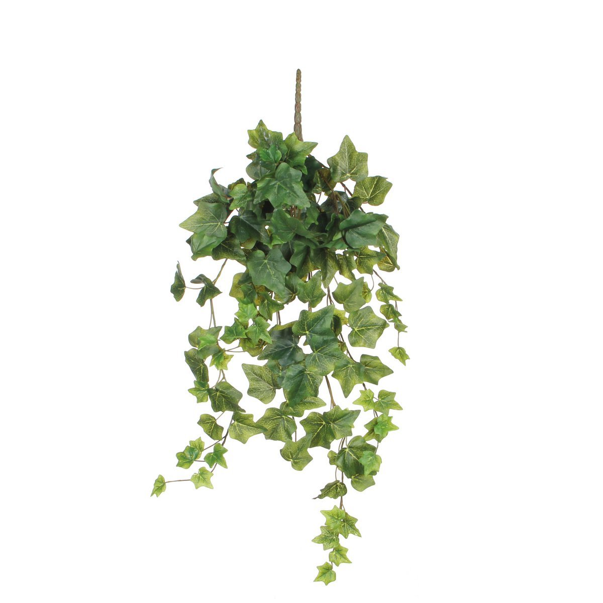 Hedera Künstliche Hängepflanze – H71 cm – Grün