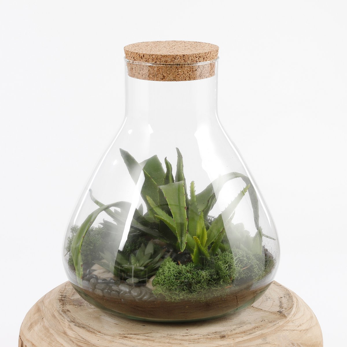 Emily Terrarium oder Vorratsdose – H24,5 x Ø22,5 cm – recyceltes Glas – transparent