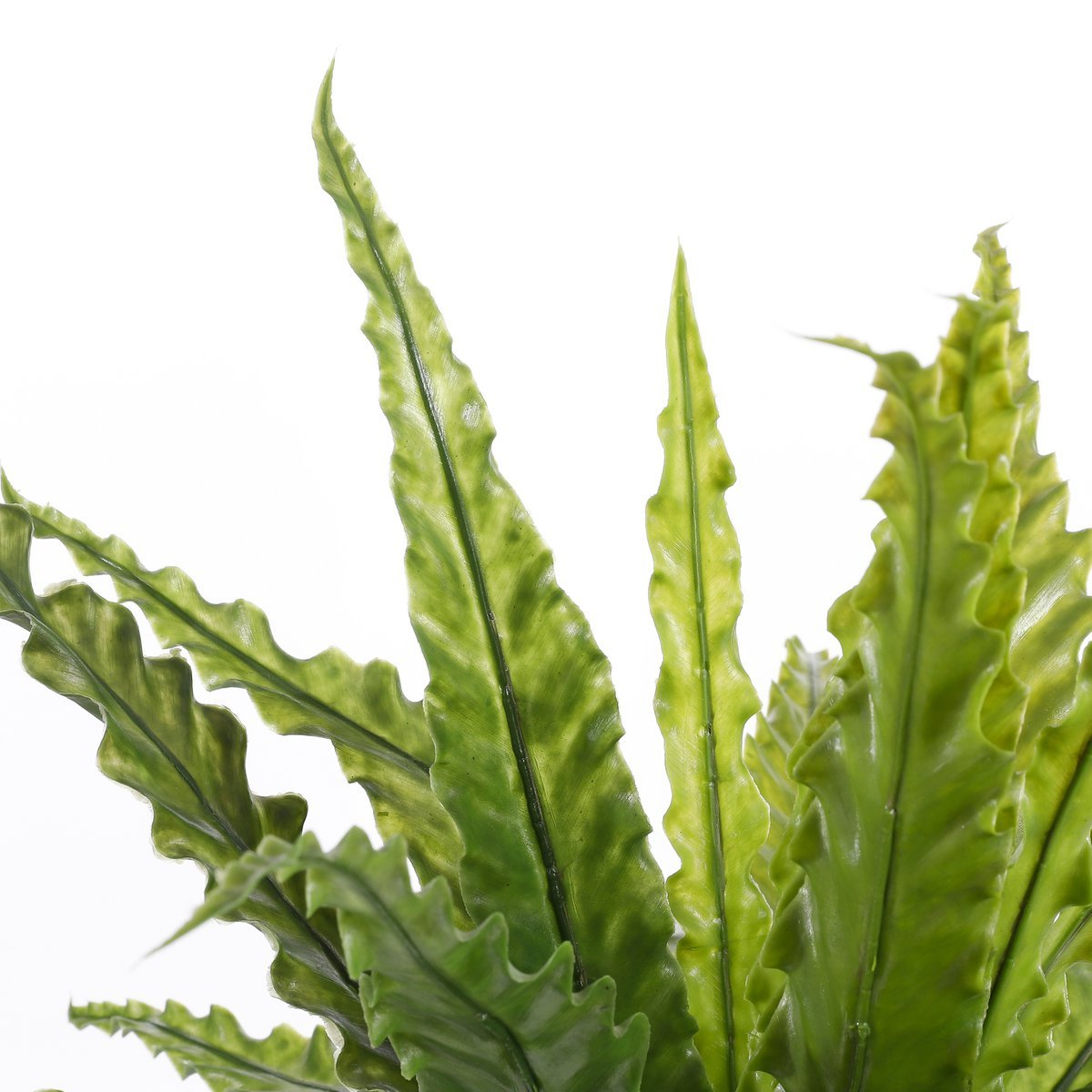 Künstliche Asplenium-Pflanze im Blumentopf Stan – H54 x Ø66 cm – Grün
