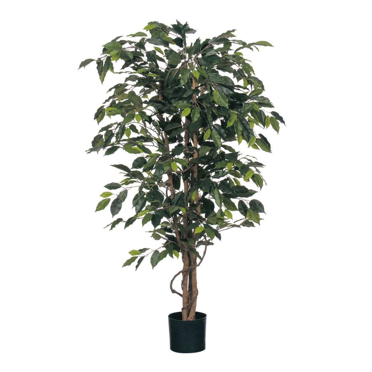 Künstliche Ficus-Pflanze – H150 x Ø85 cm – Grün