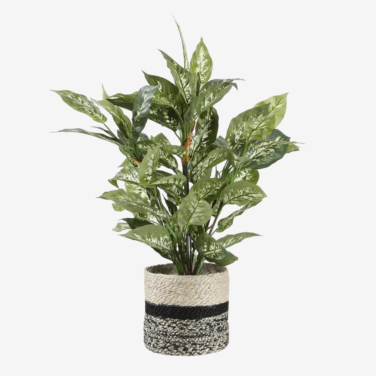 Dieffenbachia Künstliche Pflanze im Blumentopf Stan – H70 x Ø55 cm – Grün