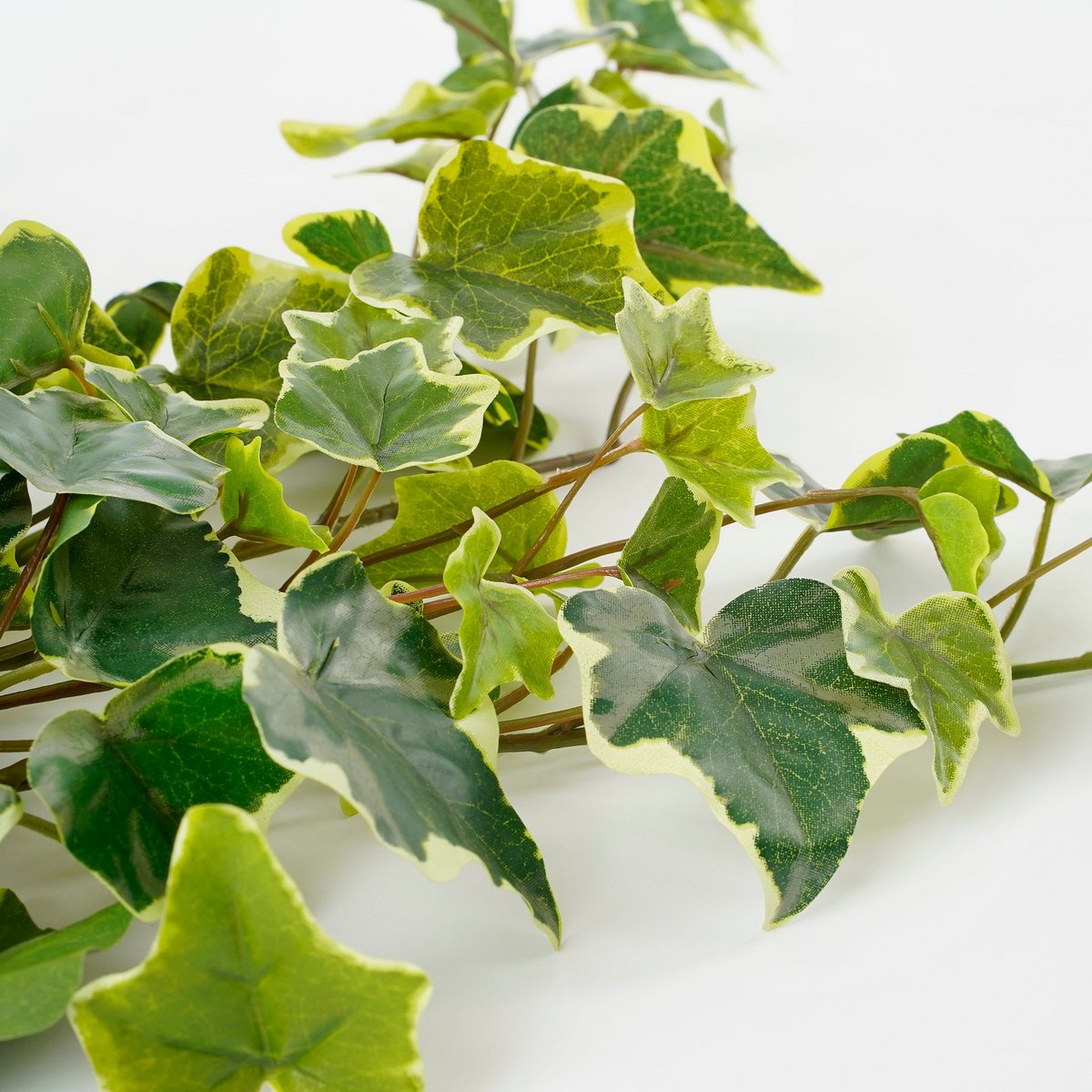 Hedera Künstliche Hängepflanze – H71 cm – Grün bunt