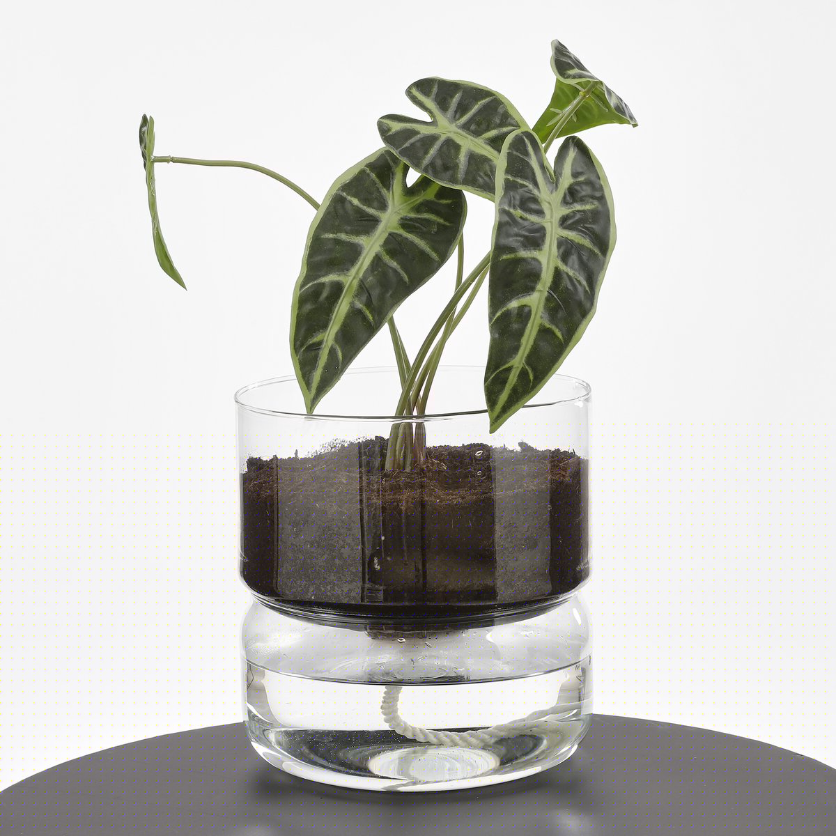 Elements Blumentopf mit Bewässerungssystem – H22 x Ø19 cm – Glas