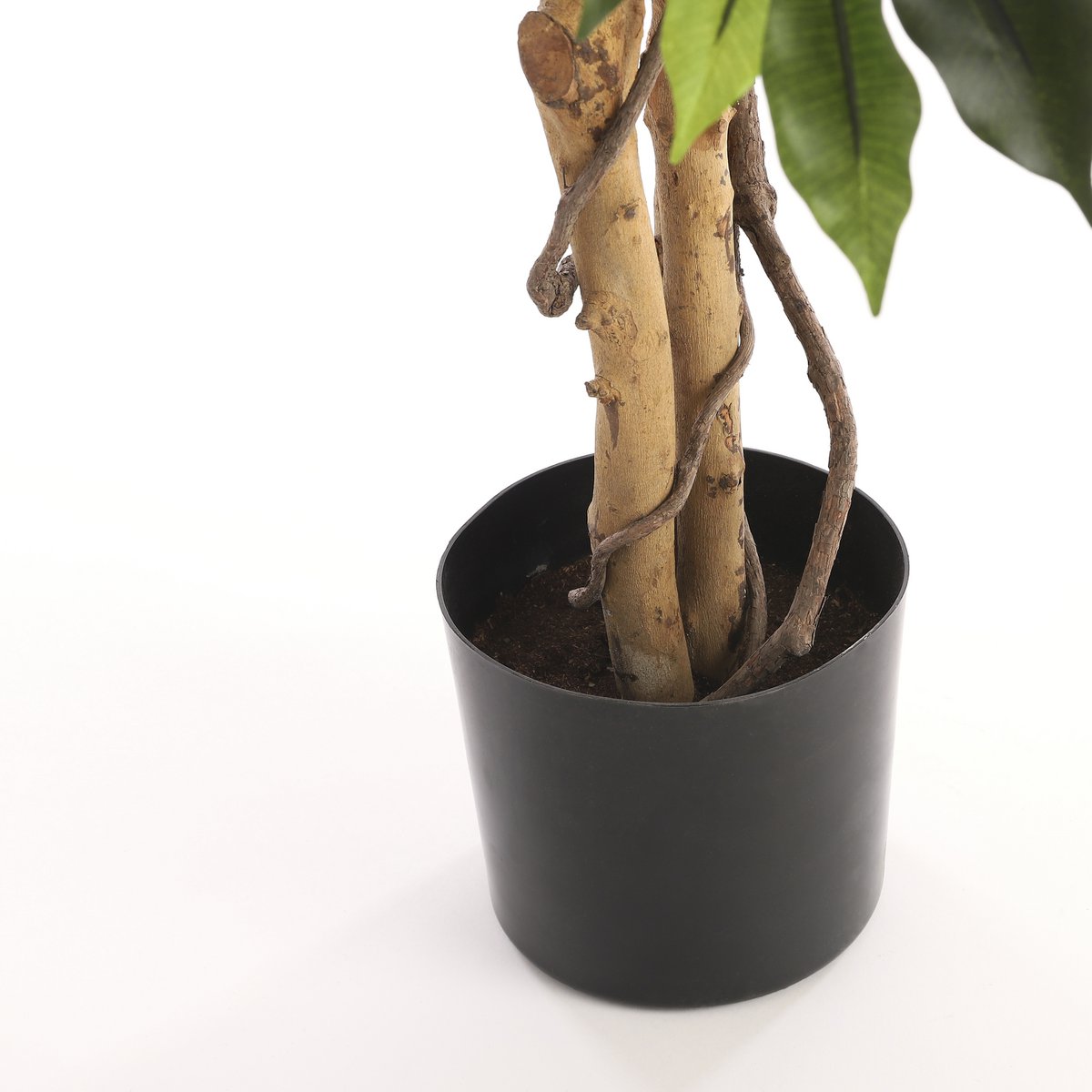 Künstliche Ficus-Pflanze – H150 x Ø85 cm – Grün