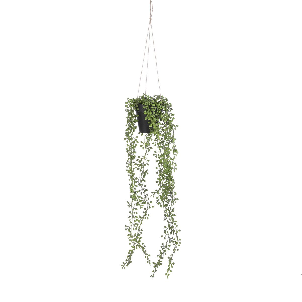Senecio Künstliche Hängepflanze im Topf – H68 x Ø9 cm – Grün