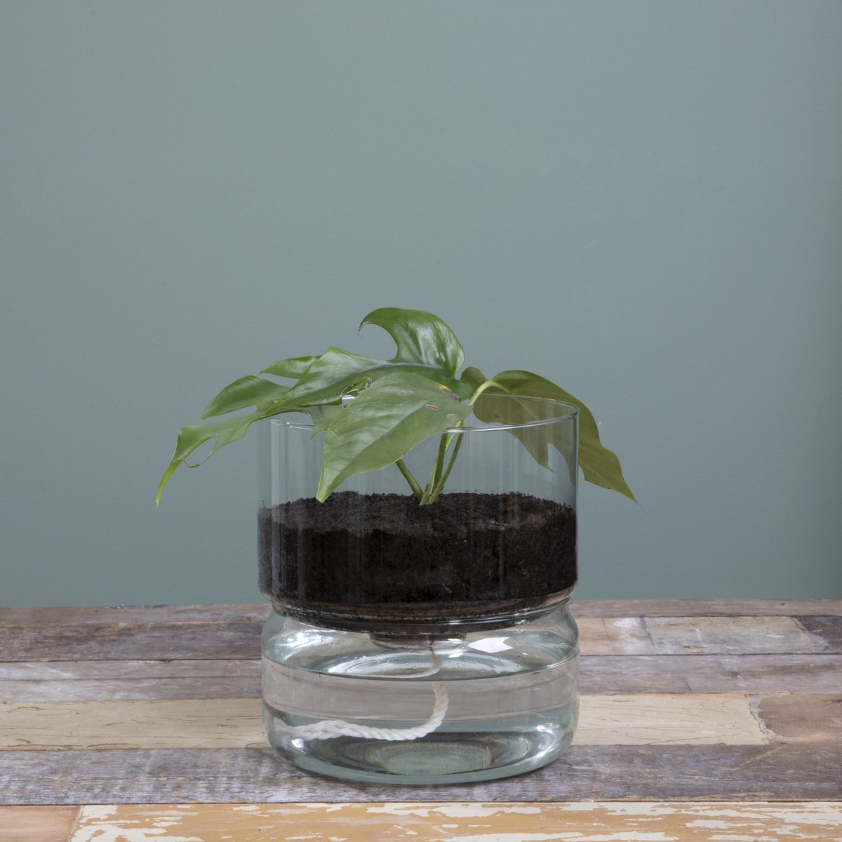 Elements Blumentopf mit Bewässerungssystem – H22 x Ø19 cm – Glas