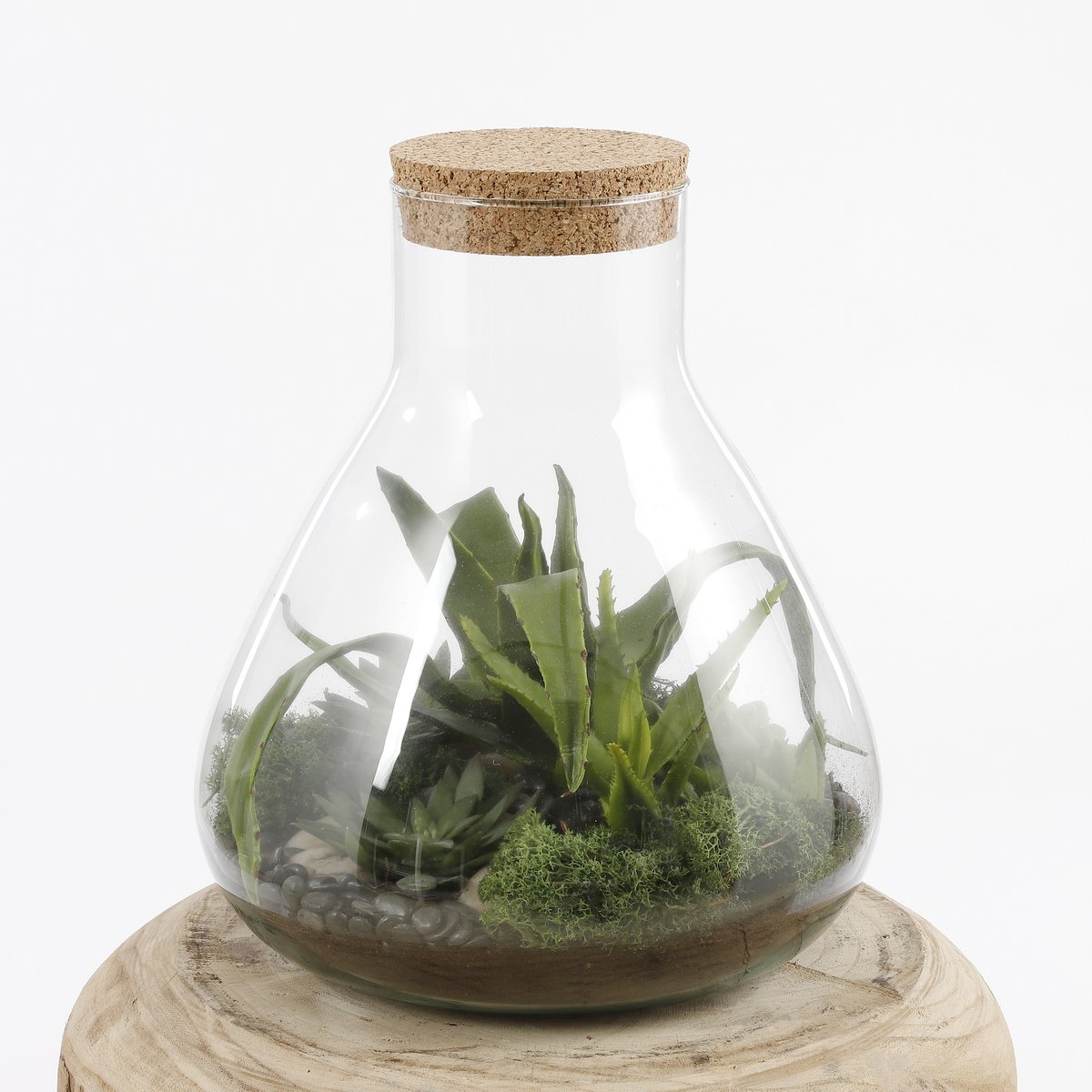 Emily Terrarium oder Vorratsdose – H32 x Ø29,5 cm – recyceltes Glas – transparent