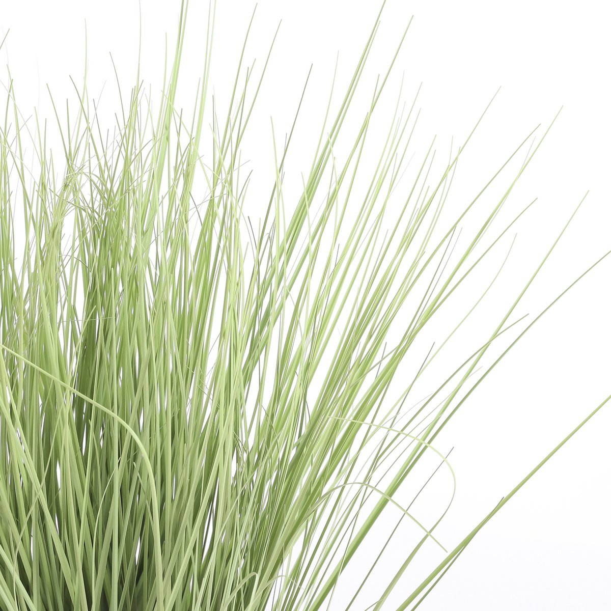 Künstliche Graspflanze – H68 x Ø50 cm – Grün