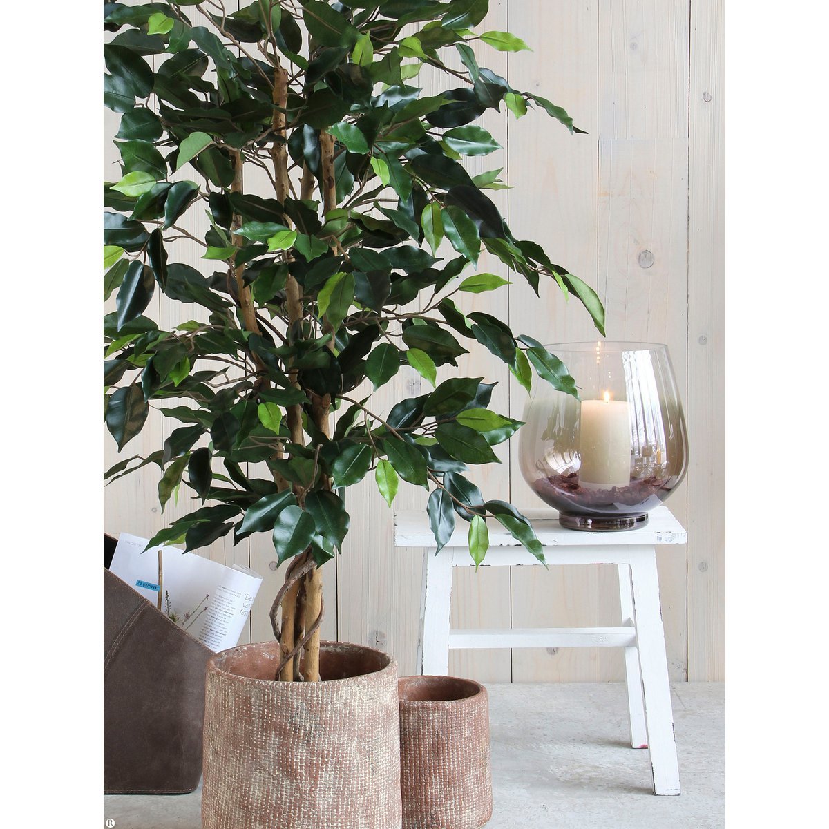 Künstliche Ficus-Pflanze – H150 x Ø85 cm – Grün