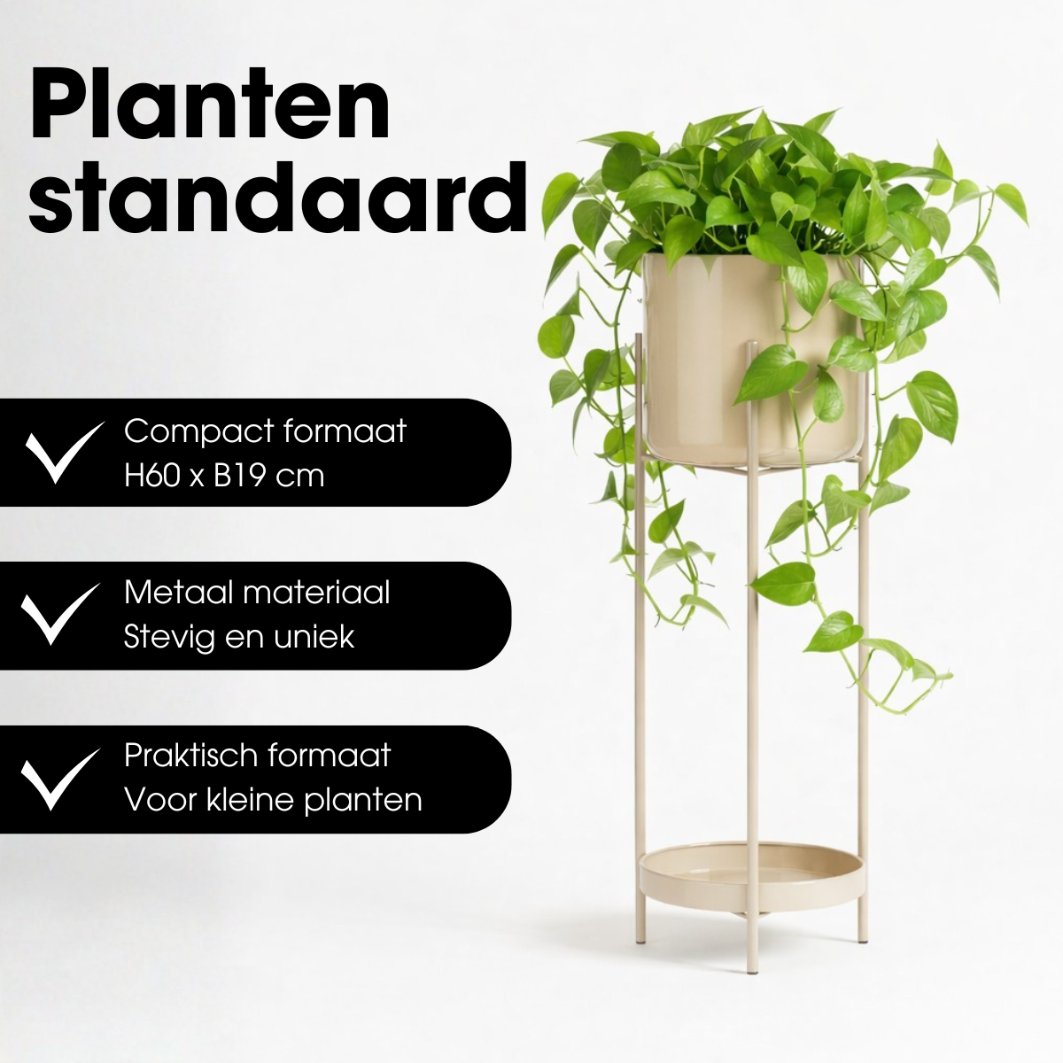 Blumentopf in Colyn Bruin