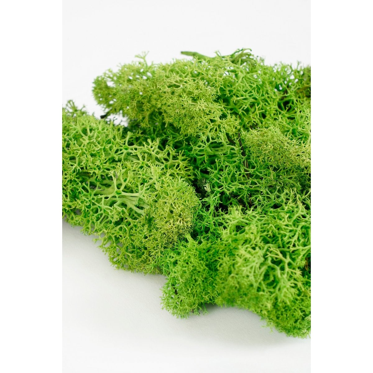 Dekomoos Mossy Green