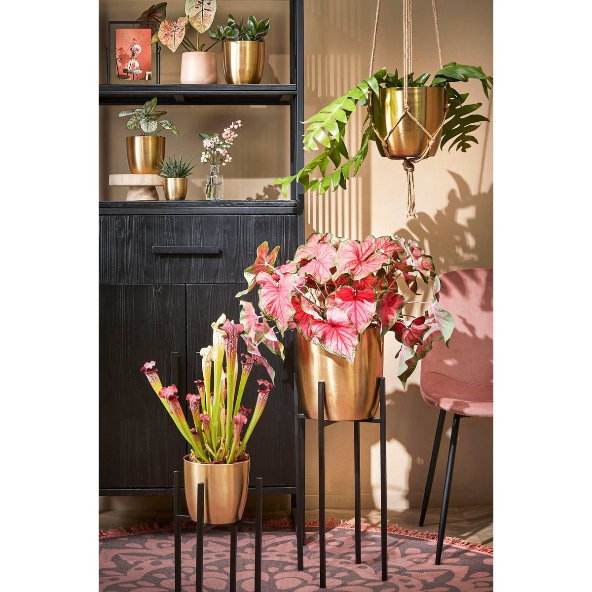 Blumentopf in Alano Gold