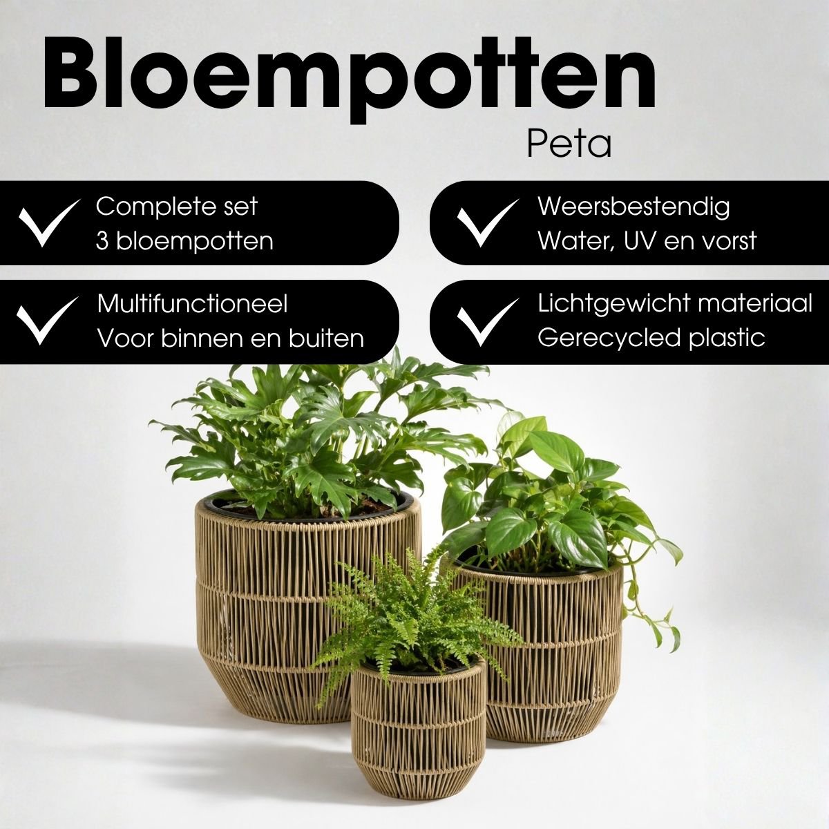 Blumentopf außerhalb von Peta Green