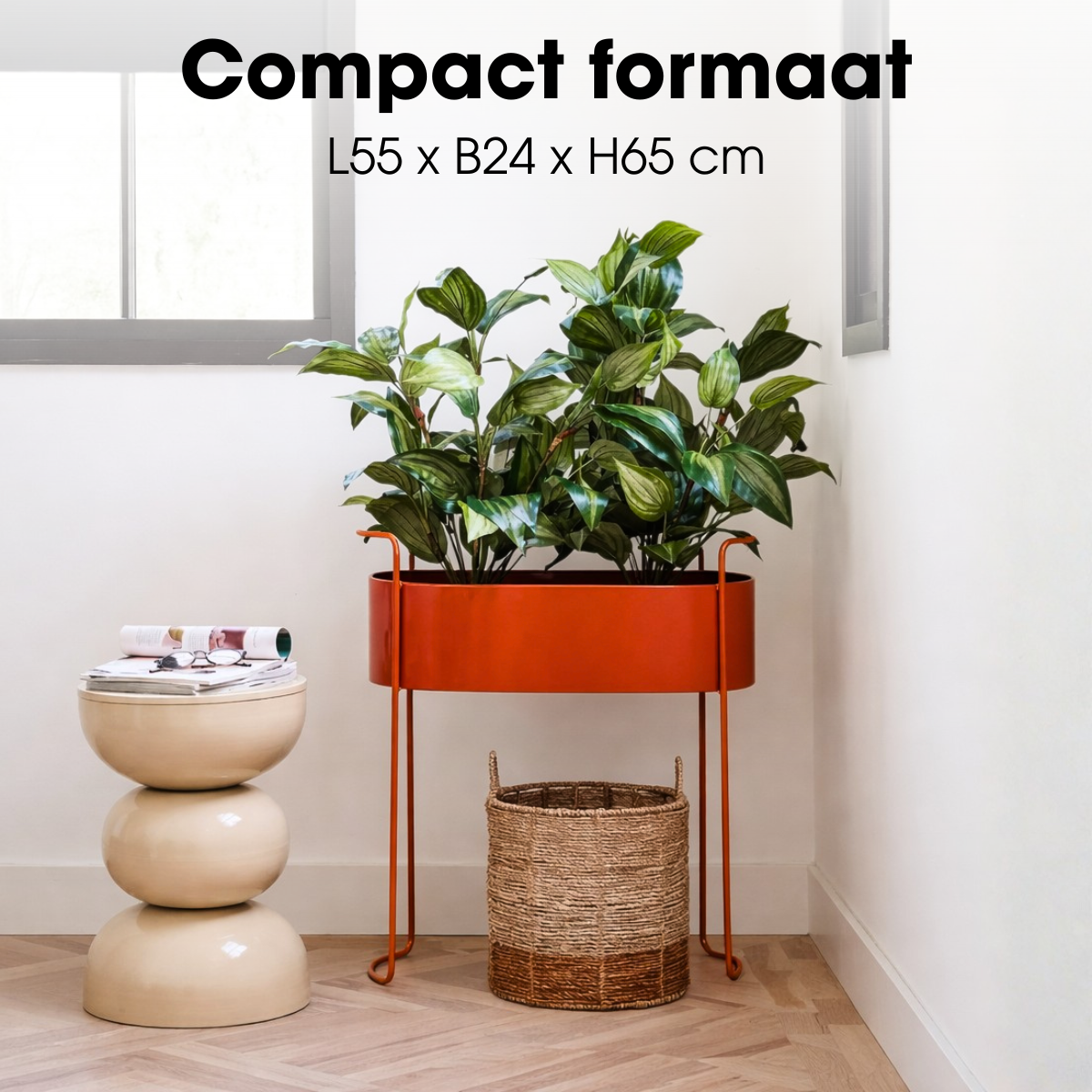Blumentopf in Moritz Red