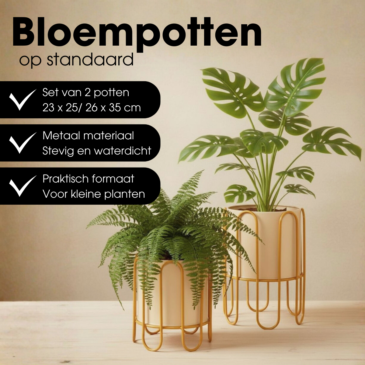 Blumentopf in Dione Bruin