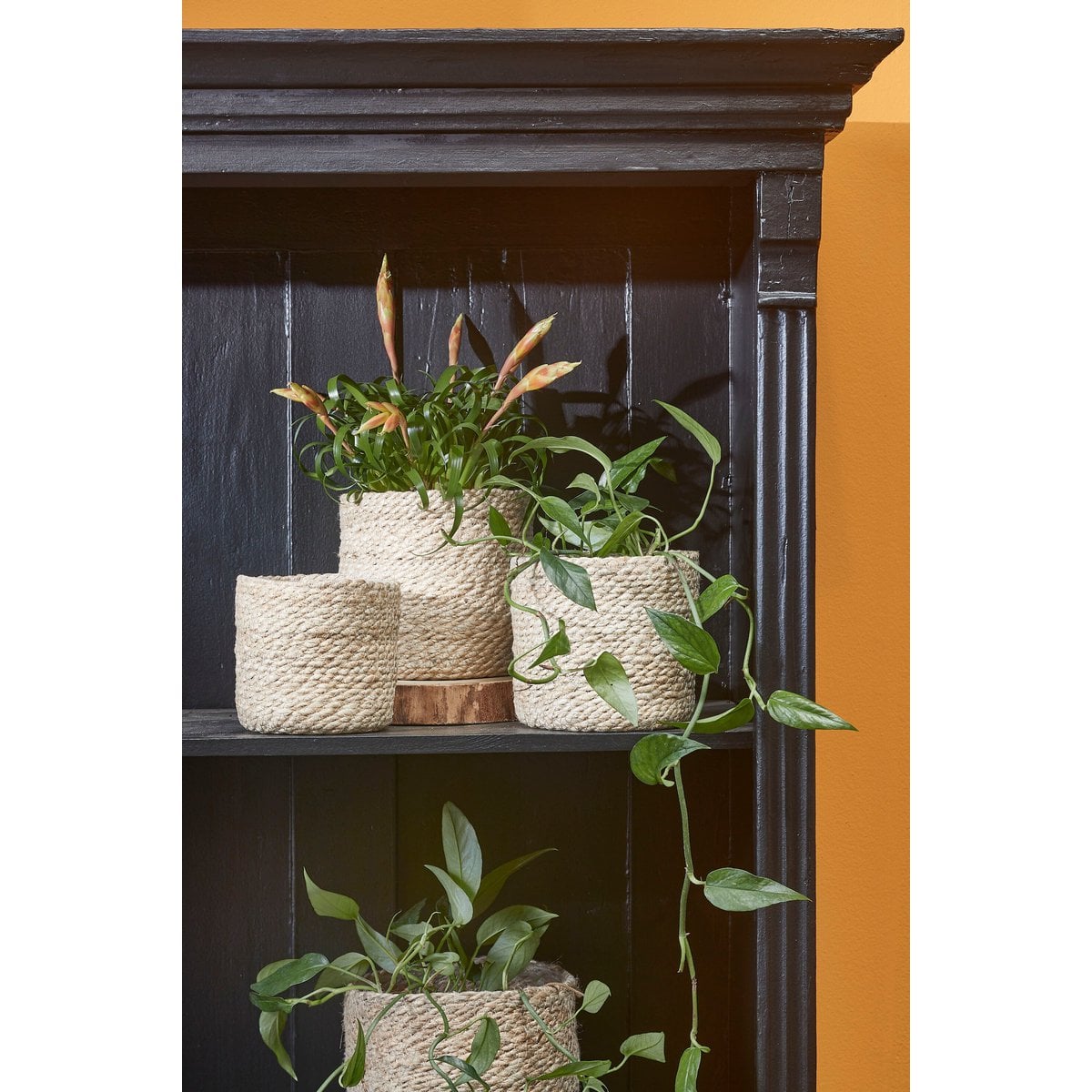 Plantenmand Set Atlantic Crème