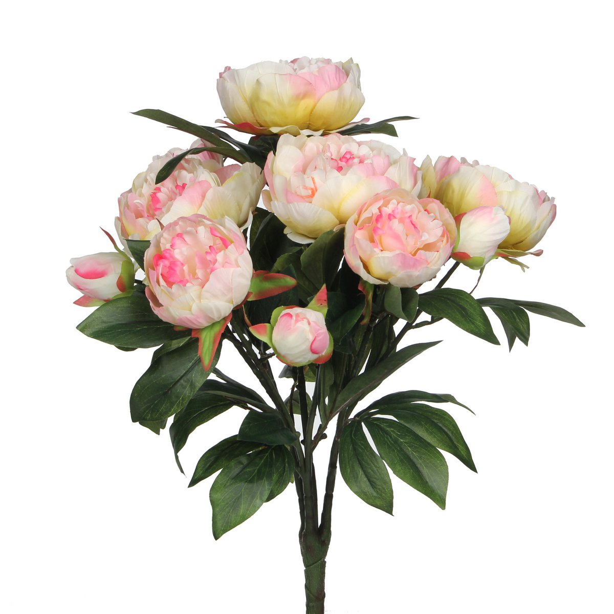 Blumenstrauß aus hellrosa Pfingstrosen