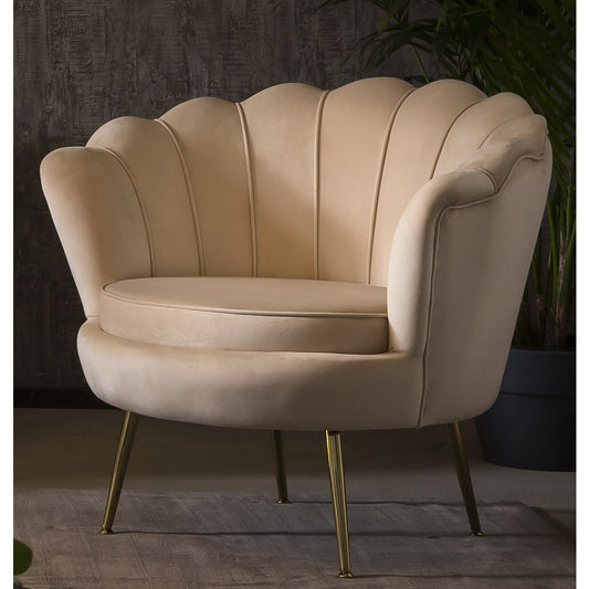 Shell armchair in beige velvet