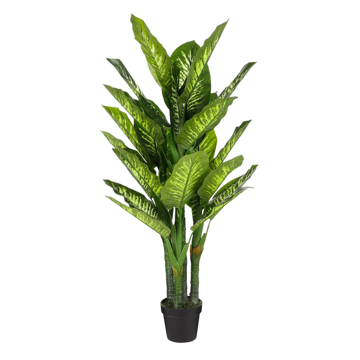 Künstliche Pflanze Dieffenbachia Green
