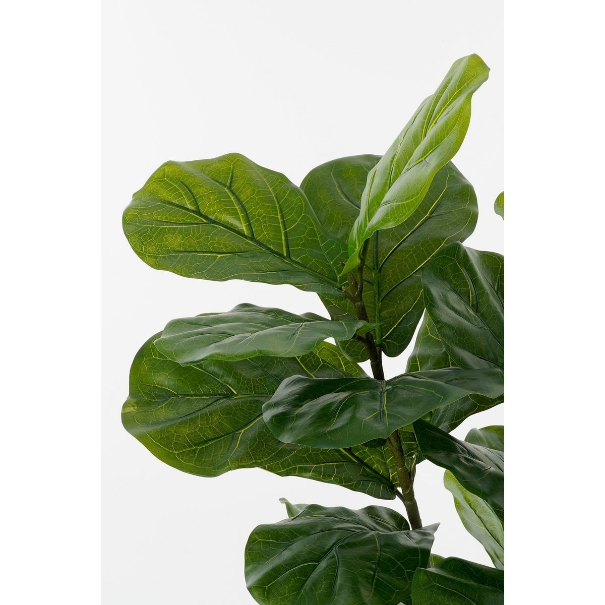 Künstliche Pflanze Ficus Green