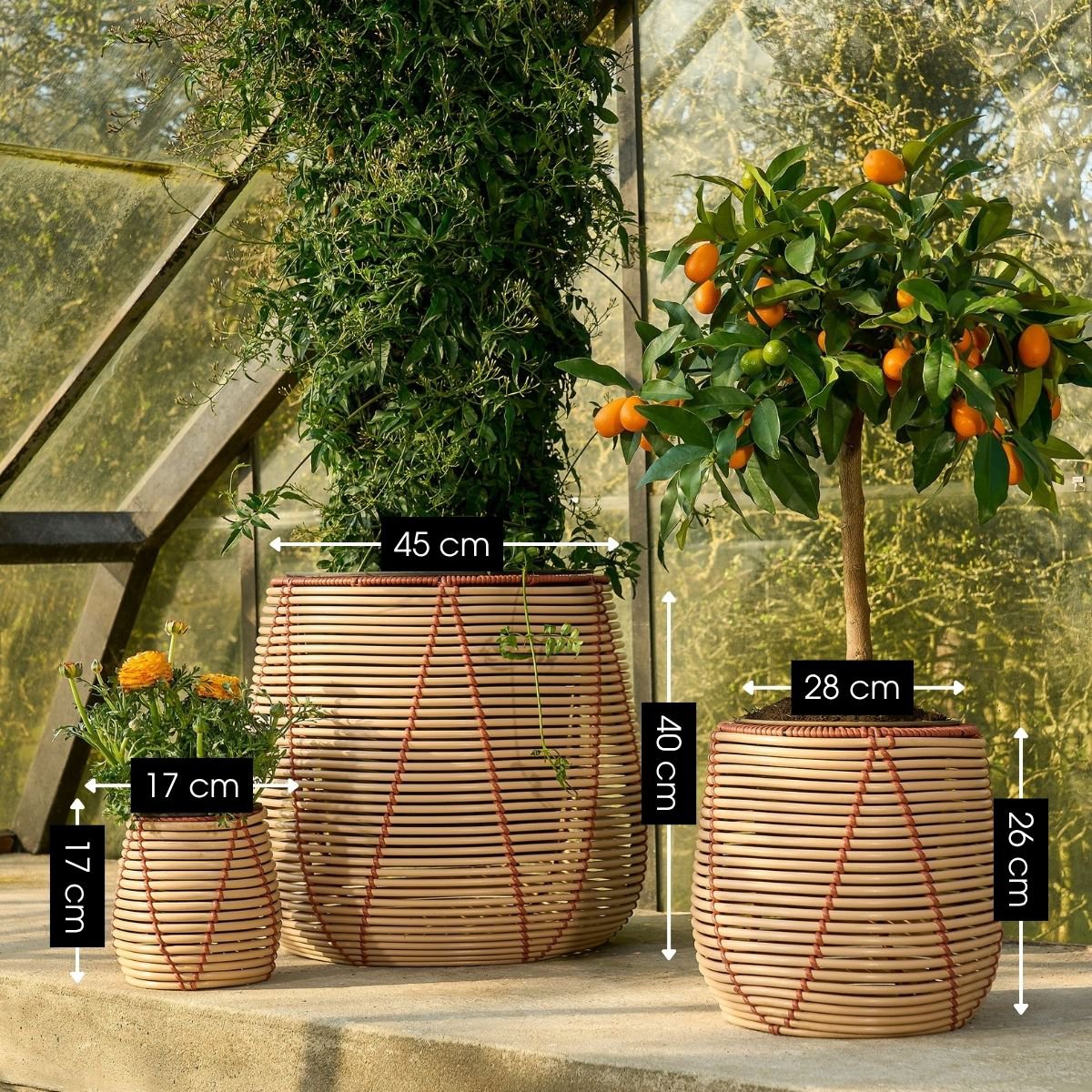 Blumentopf außerhalb von Cancun Beige