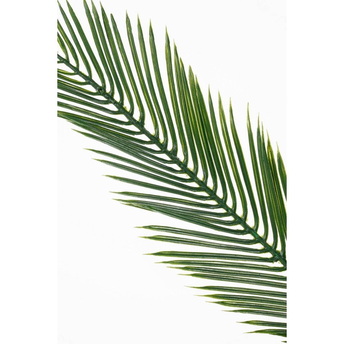 Künstliche Pflanze Cycas grün