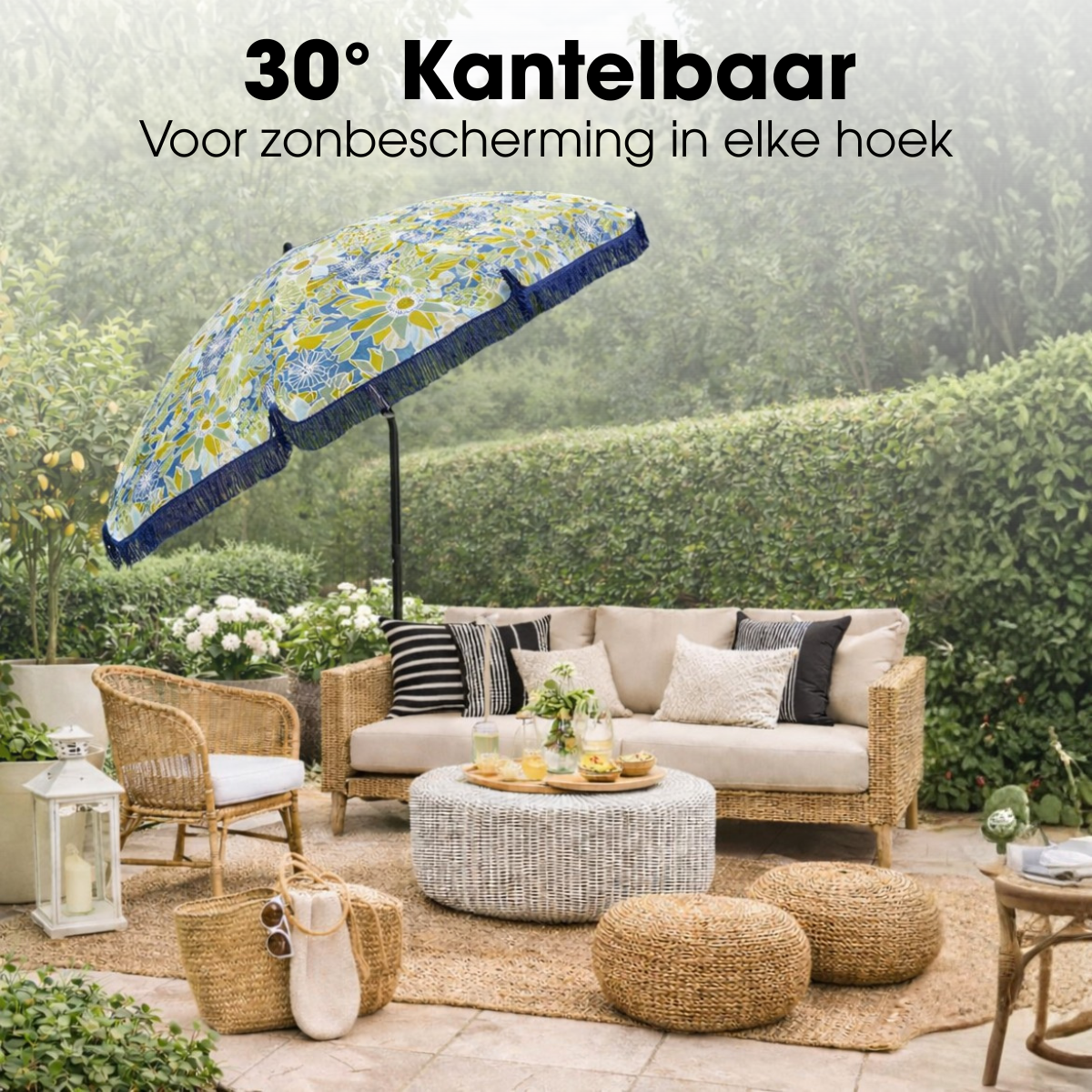Sonnenschirmblume Blau