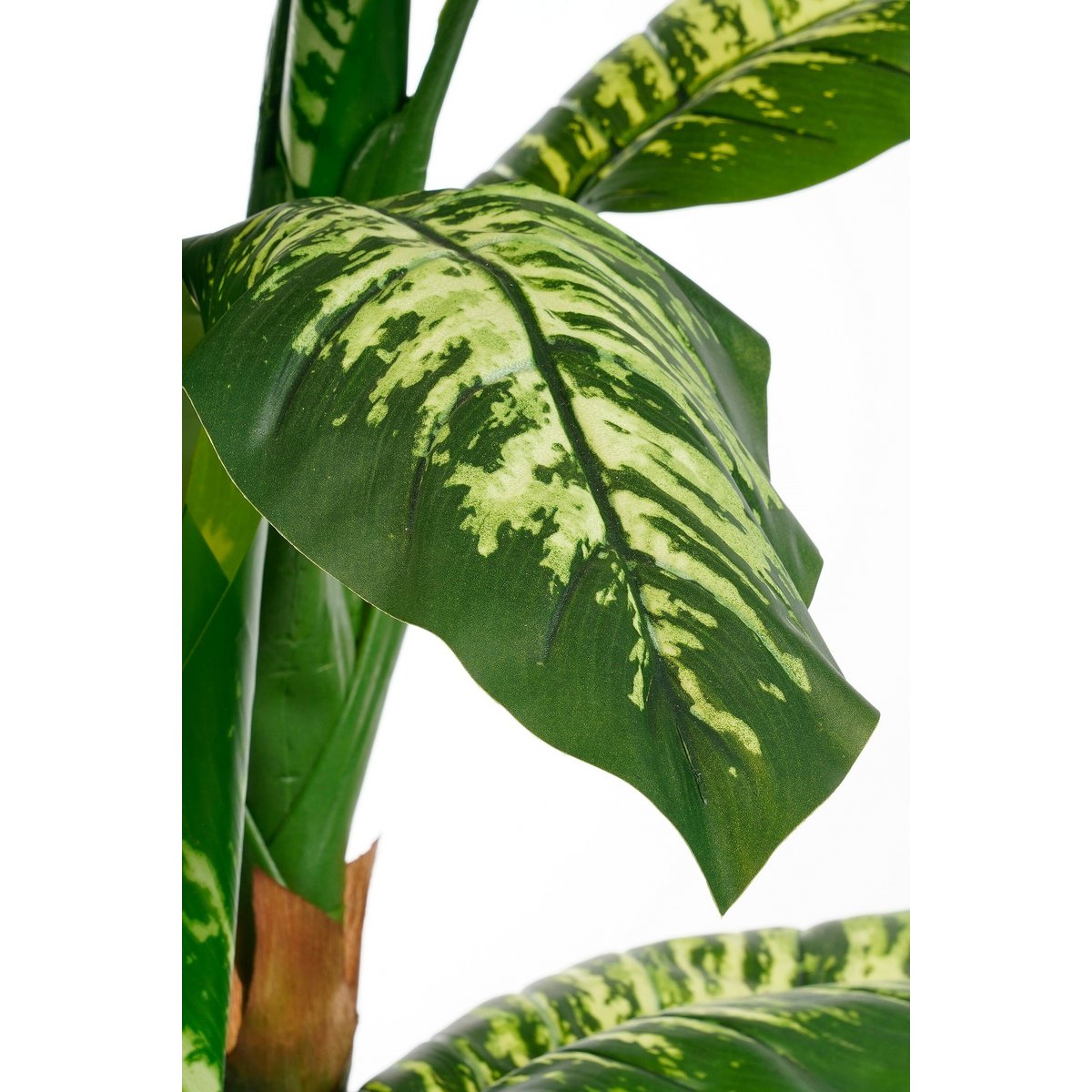 Künstliche Pflanze Dieffenbachia Green